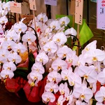 IMAG0305.jpg