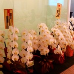 kaiiniwai20000.jpg