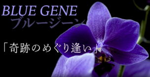 Blue Gene（ブルージーン）の青い胡蝶蘭